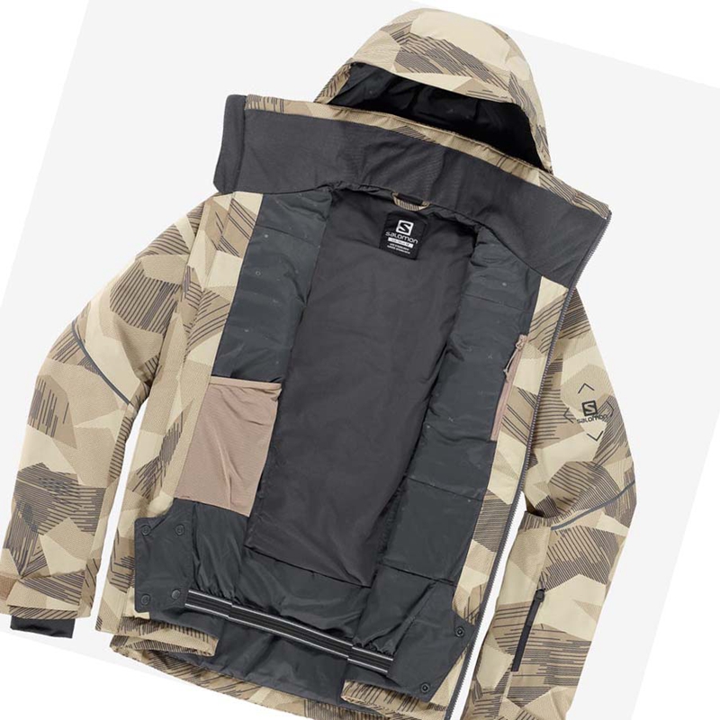 Salomon BRILLIANT Síkabátok Férfi Barna | 62379-POZX