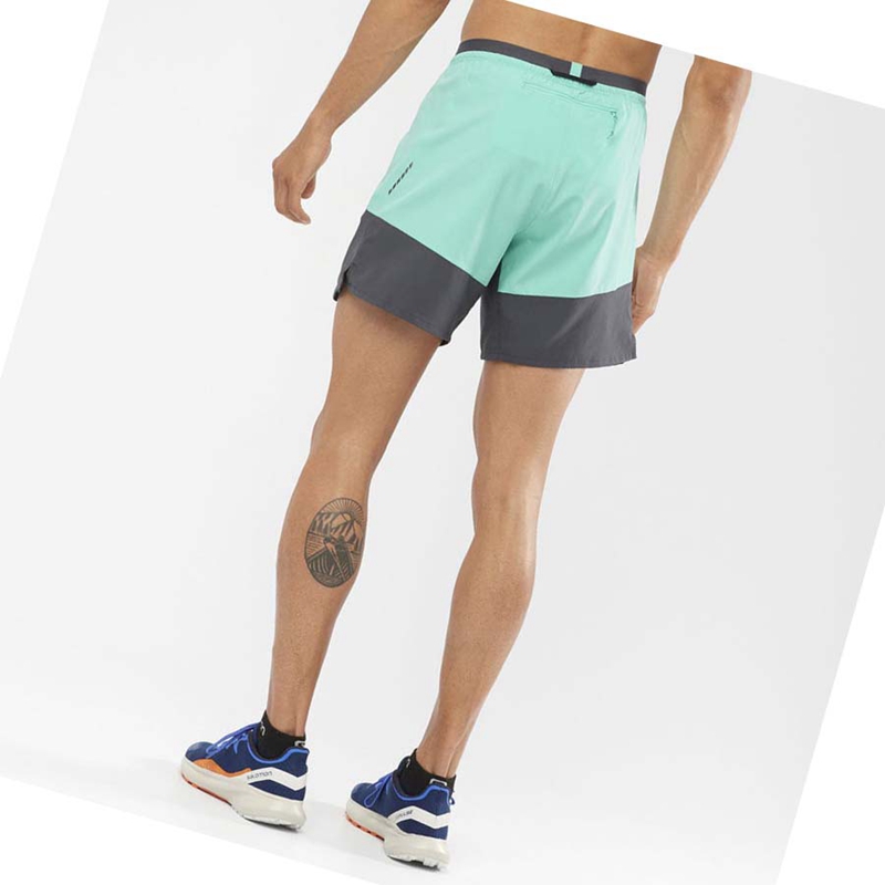 Salomon CROSS 7'' NO LINER Rövidnadrág Férfi Menta | 58219-HAXN