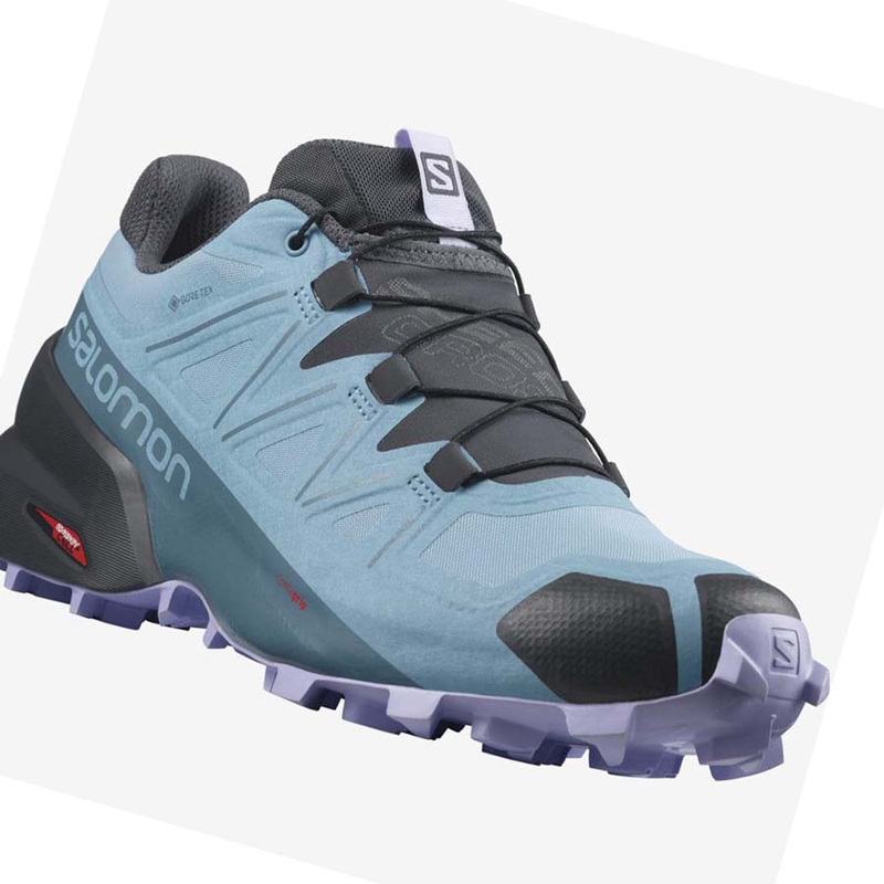 Salomon SPEEDCROSS 5 GORE-TEX Trail Futócipő Női Barna | 89571-WKRN