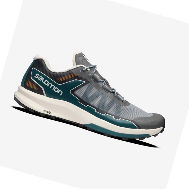 Salomon ULTRA RAID Tornacipő Férfi Szürke | 83695-JRKX