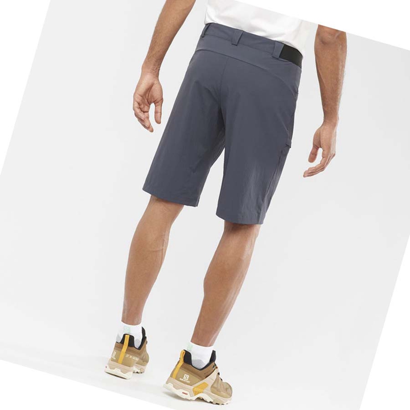 Salomon WAYFARER Rövidnadrág Férfi Szürke | 51392-CUNI