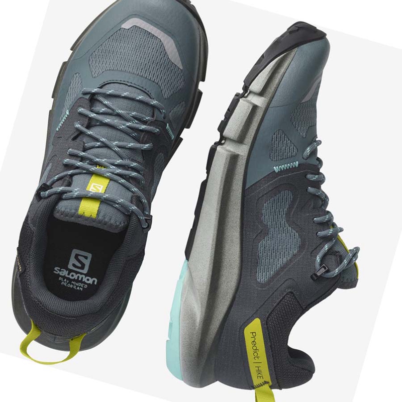 Salomon WoPREDICT HIKE GORE-TEX Túracipő Női Titán | 38210-ZNHB
