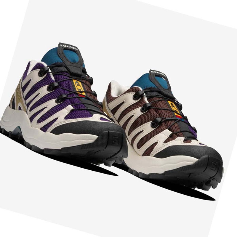 Salomon XA PRO 1 Tornacipő Férfi Lila Csokoládé Kék | 86254-LWYK