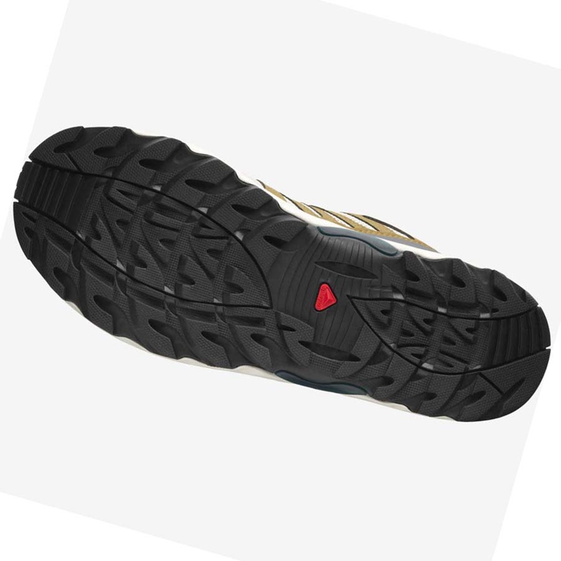 Salomon XA PRO 1 Tornacipő Női Barna | 59247-KZHI