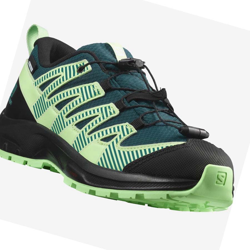 Salomon XA PRO V8 CLIMASALOMON™ WATERPROOF Trail Futócipő Gyerek Zöld | 54392-XNPB