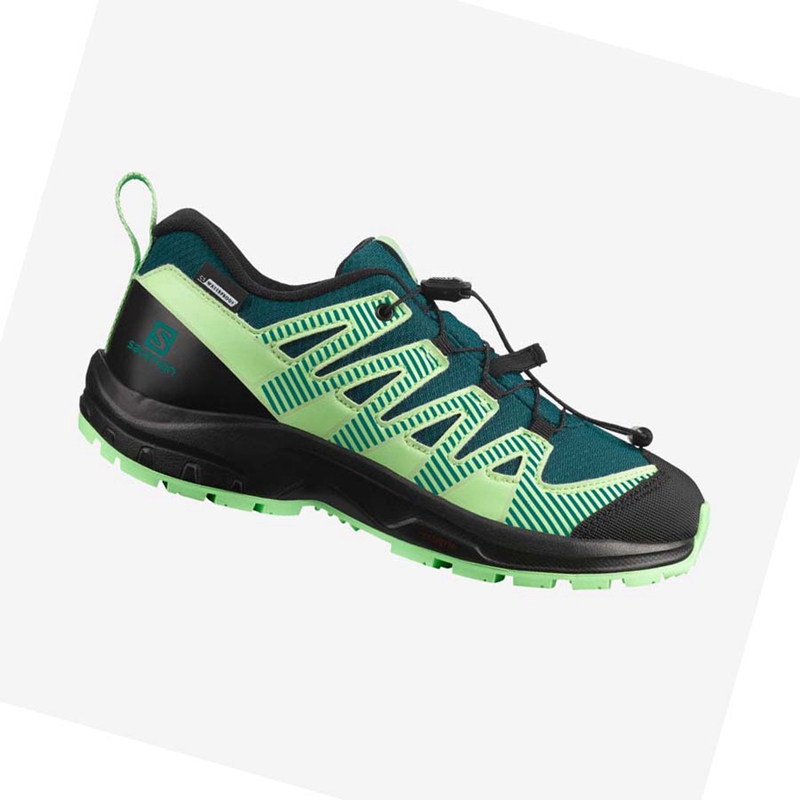 Salomon XA PRO V8 CLIMASALOMON™ WATERPROOF Trail Futócipő Gyerek Zöld | 54392-XNPB