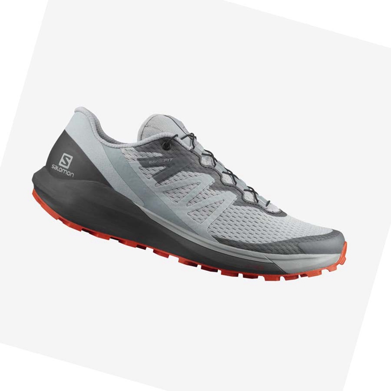 Salomon SENSE RIDE 4 Trail Futócipő Férfi Bézs Szürke | 32617-LJRG