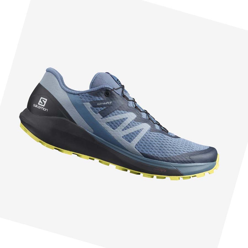 Salomon SENSE RIDE 4 Trail Futócipő Férfi Szürke | 38216-HEDU