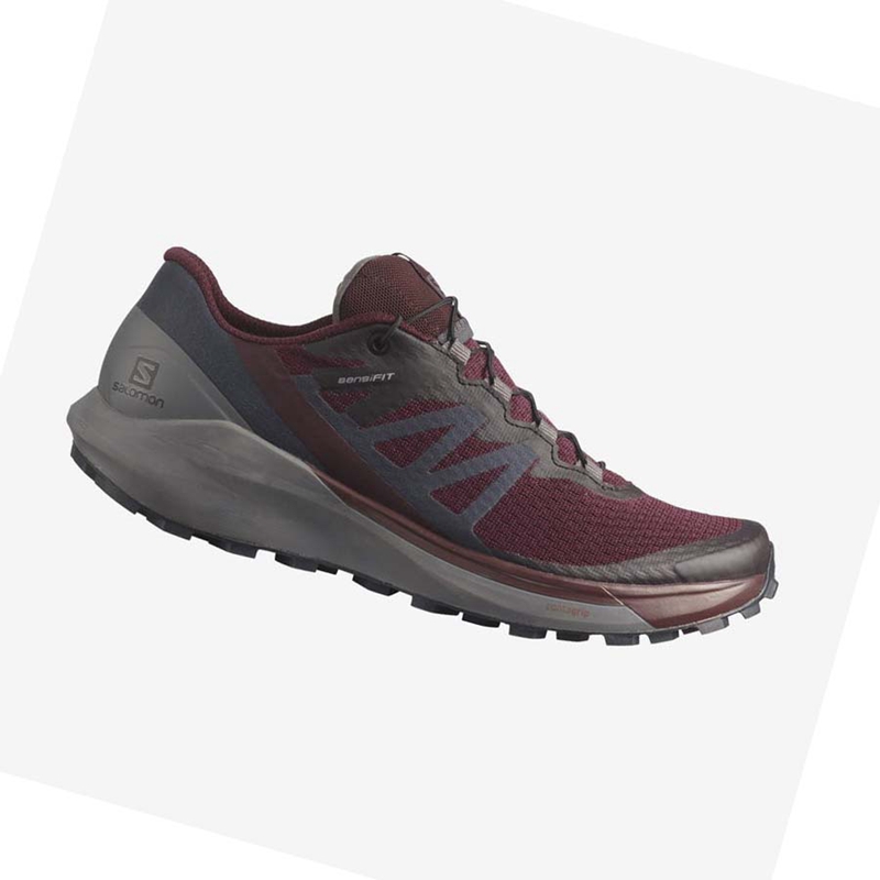 Salomon SENSE RIDE 4 Trail Futócipő Női Lila | 14230-EMAF