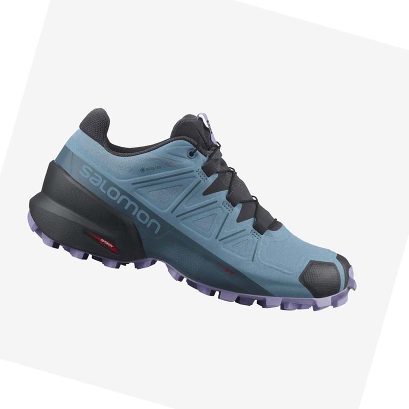 Salomon SPEEDCROSS 5 GORE-TEX Trail Futócipő Női Barna | 89571-WKRN
